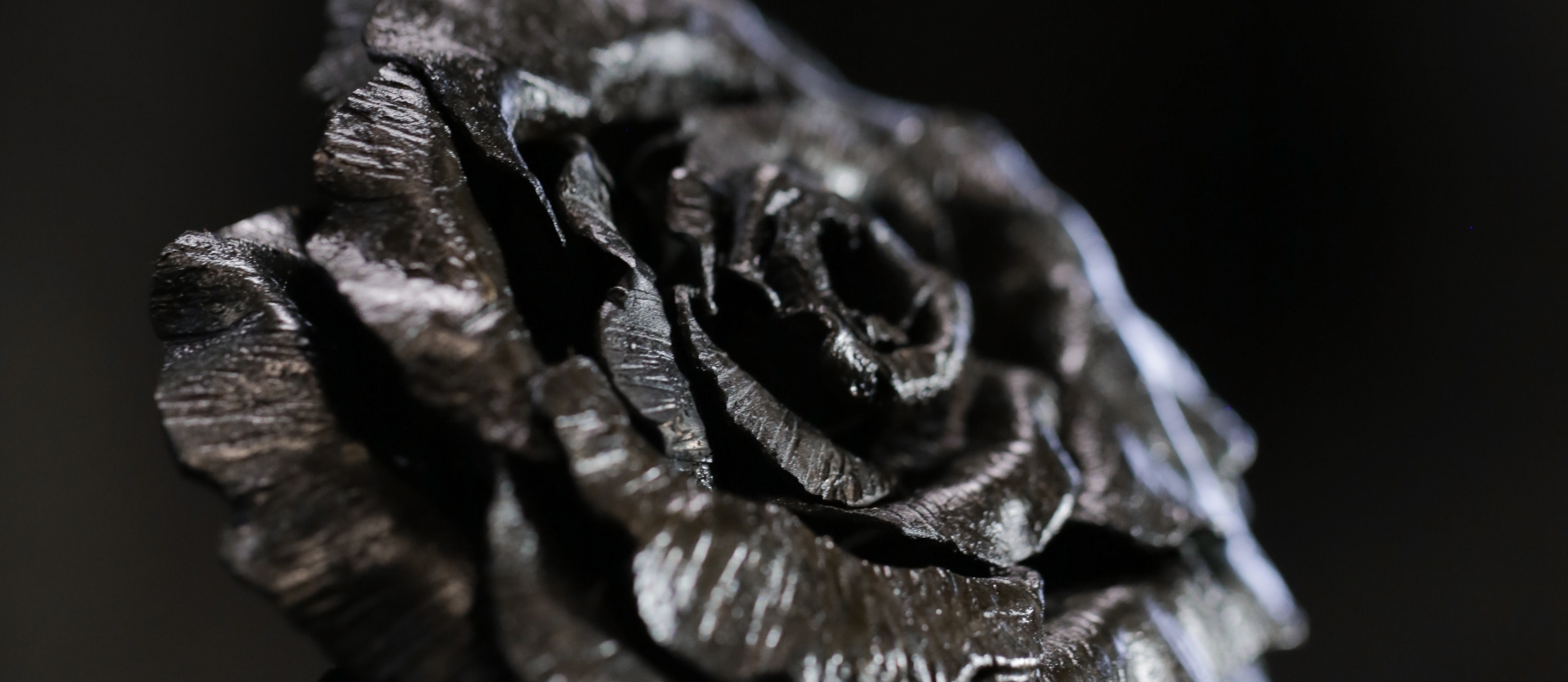 BLACKBLOOM_Home_Banner