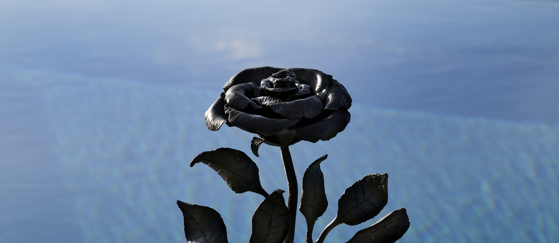 Black_bloom_img_Banner_slide 2 Home