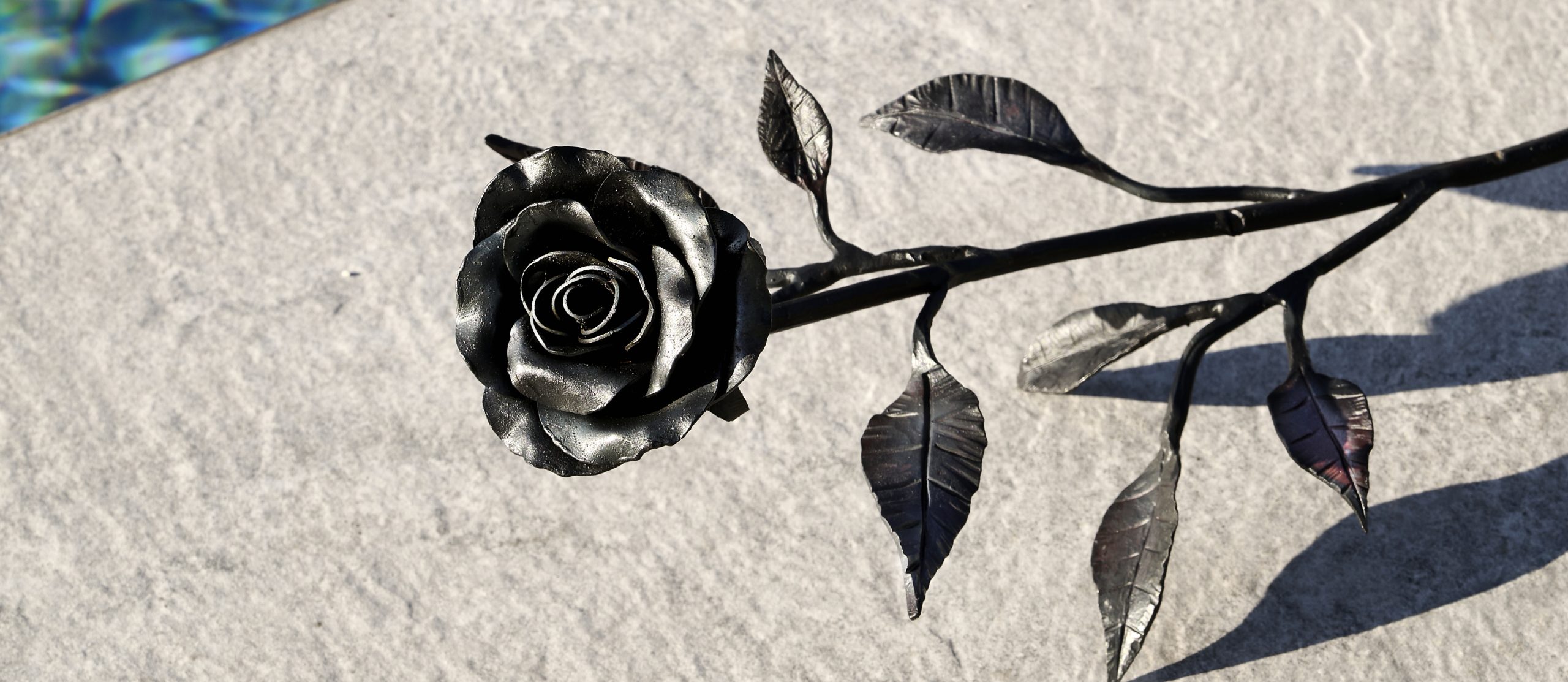 BLACK-BLOOM-Slider-3-Homepage-_2x