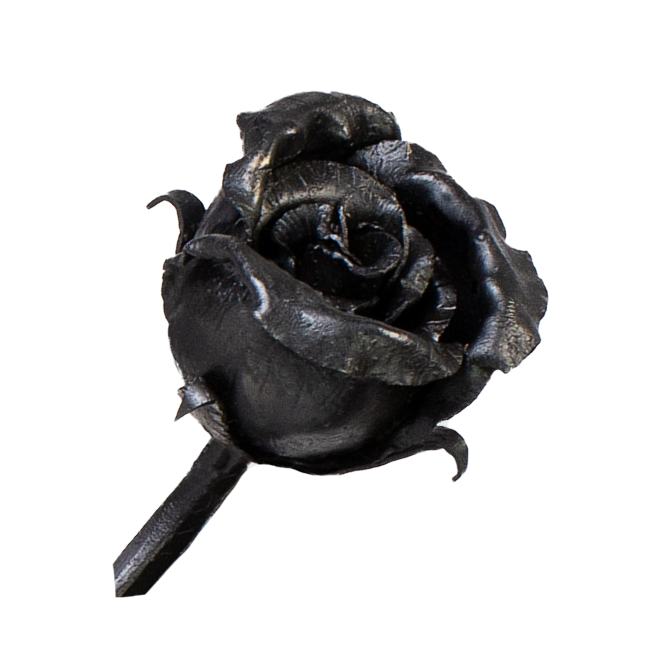 Rosa – Bocciolo chiuso