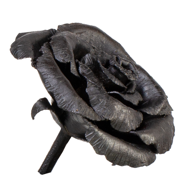 Rosa – Bocciolo aperto