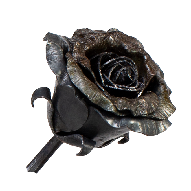 Rosa – Bocciolo semiaperto